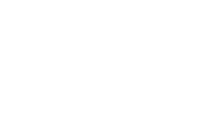 Deutsche Netzplanung LMS